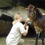 02.07.05 - Pferde-Dentalpraktikerin Petra Hiller mit PEPERONI