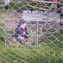 02.04.07 - Baby im Kaninchenauslauf - brennessel-sicher