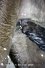 30.01.08 - ÜBERRASCHUNG !!! Völlig unbemerkt bekommt TRAVELIN D BLACK SUNSHINE (SUNNY) ein gesundes Maultier-Stutfohlen (von Großesel-Hengst FRIDOLIN). Milchbar.