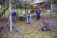 Girl Scouts in action