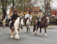 C.Siber, J.Kundm&uuml;ller, K.K&ouml;berlein, C.Brunner