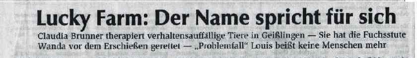 Kitzinger Zeitung 11.9.2004